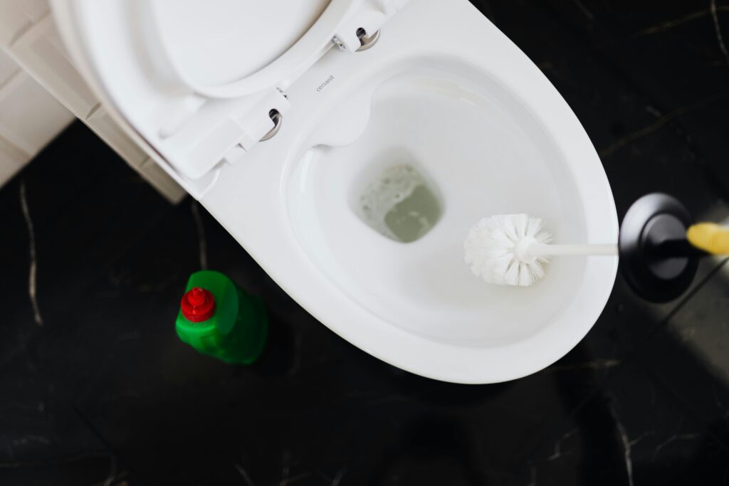 Toilet Cleaning