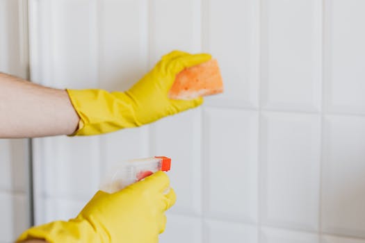 Tile Cleaning